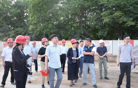 岳阳市凌云市长莅临清溪项目查抄领导工作
