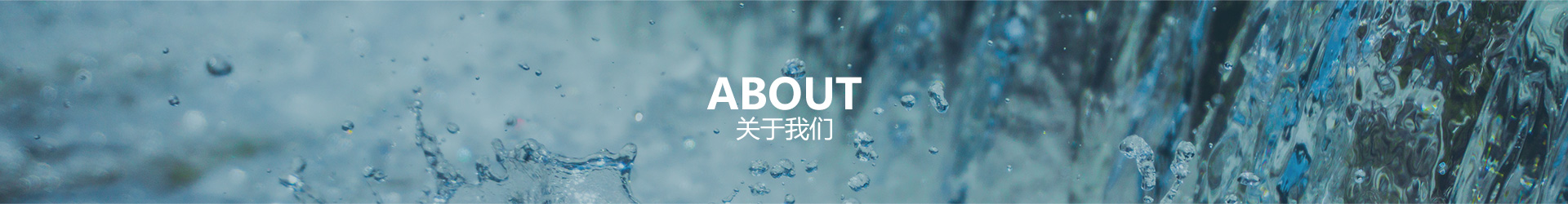 关于1xBET