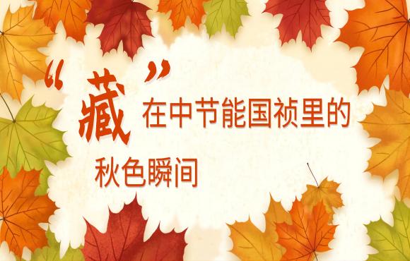四时国祯丨“藏”在1xBET里的秋色瞬间